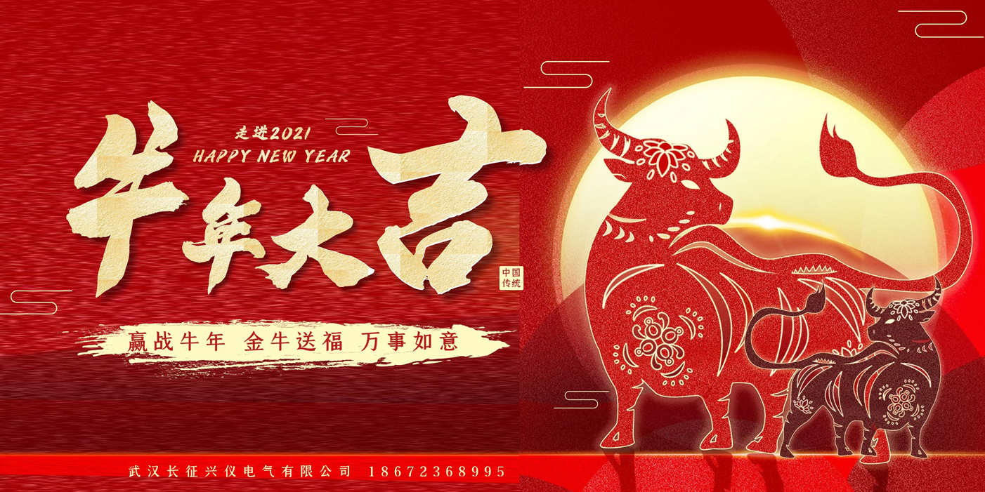 武漢長征興儀電氣有限公司